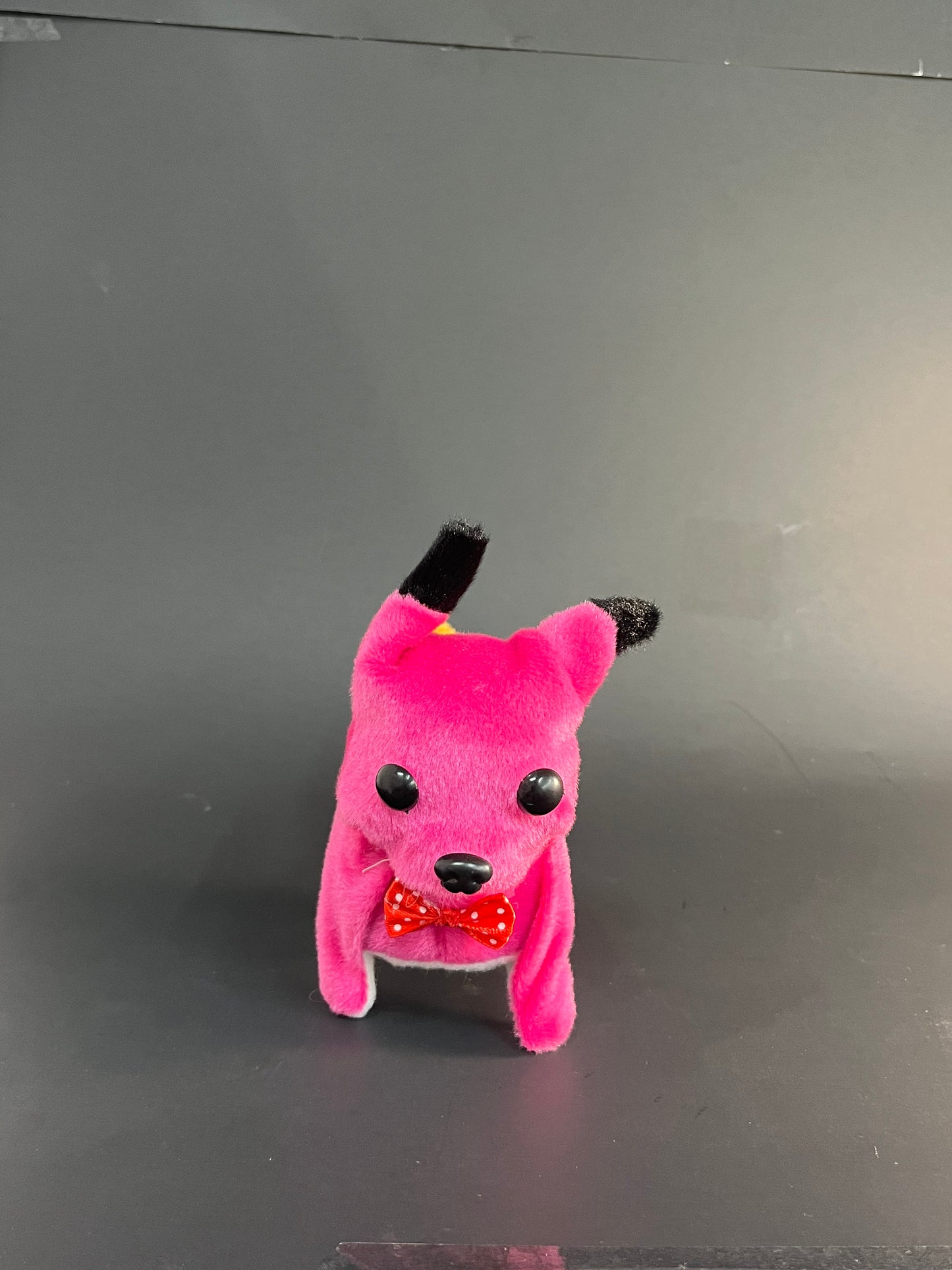 Dog Toy