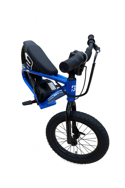 BAIGOR E-BIKE 24V