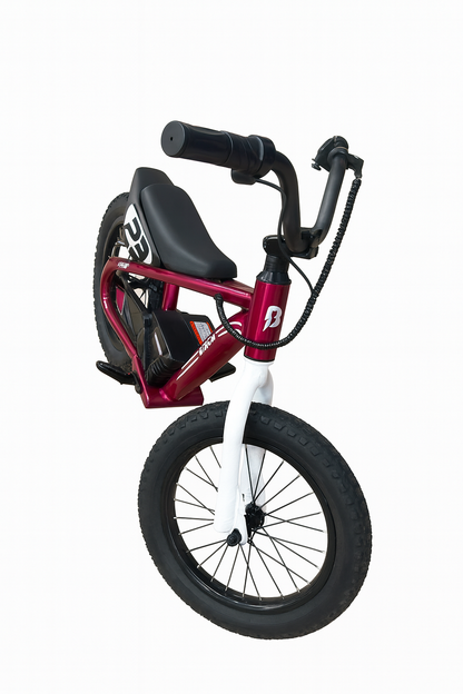 BAIGOR E-BIKE 24V
